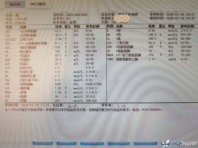 31省区市新增核酸阳性23例内蒙古自治区呼和浩特和林格尔县27例(呼和浩特 阳性)
