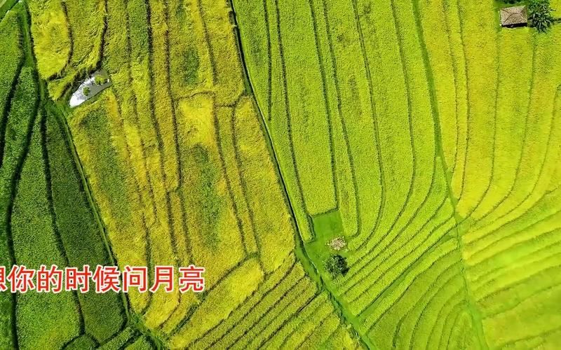 【溪湖区近期无新增本土确诊,乡村教师唱想你的时候问月亮】