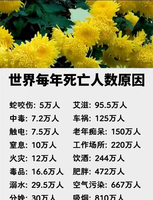 全球10月30日新增5例死亡病例:10月30日新增本土病例48例