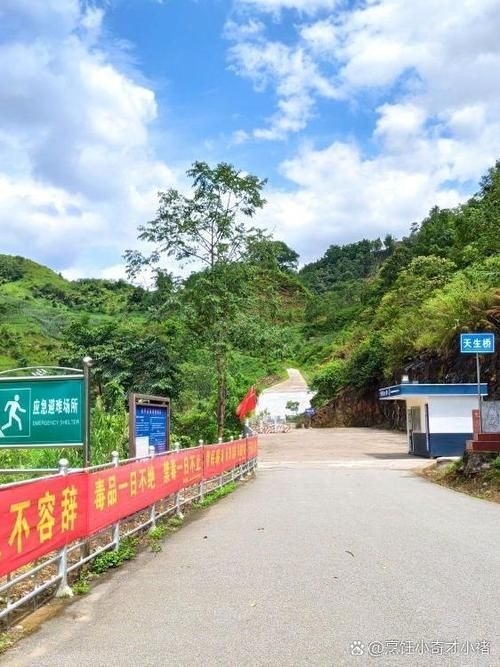包含云南省红河哈尼族彝族自治州金平苗族瑶族傣族自治县最新通告：所有人员足不出户的词条