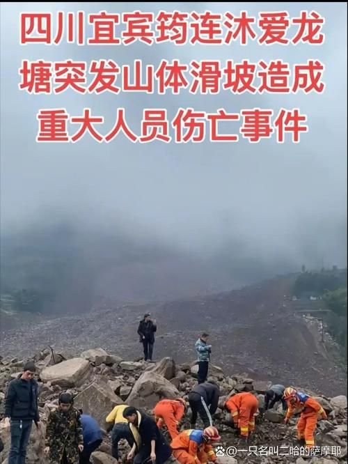 峨眉山市累计报告死亡病例14例/峨眉山发生惊人一幕