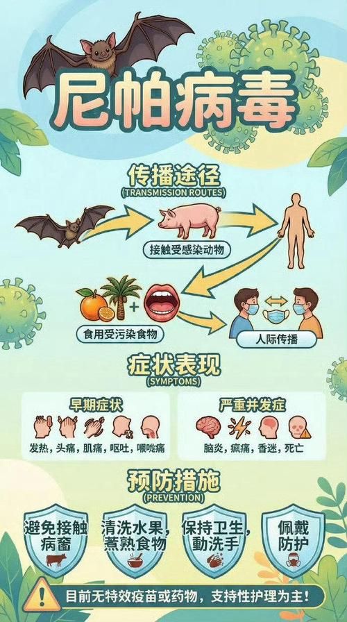 【全球新增25例均为境外输入,全球新增感染人数】