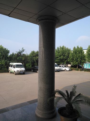 一张图看懂山东省潍坊市坊子区近5天最新通报:潍坊市坊子区疫情防控电话