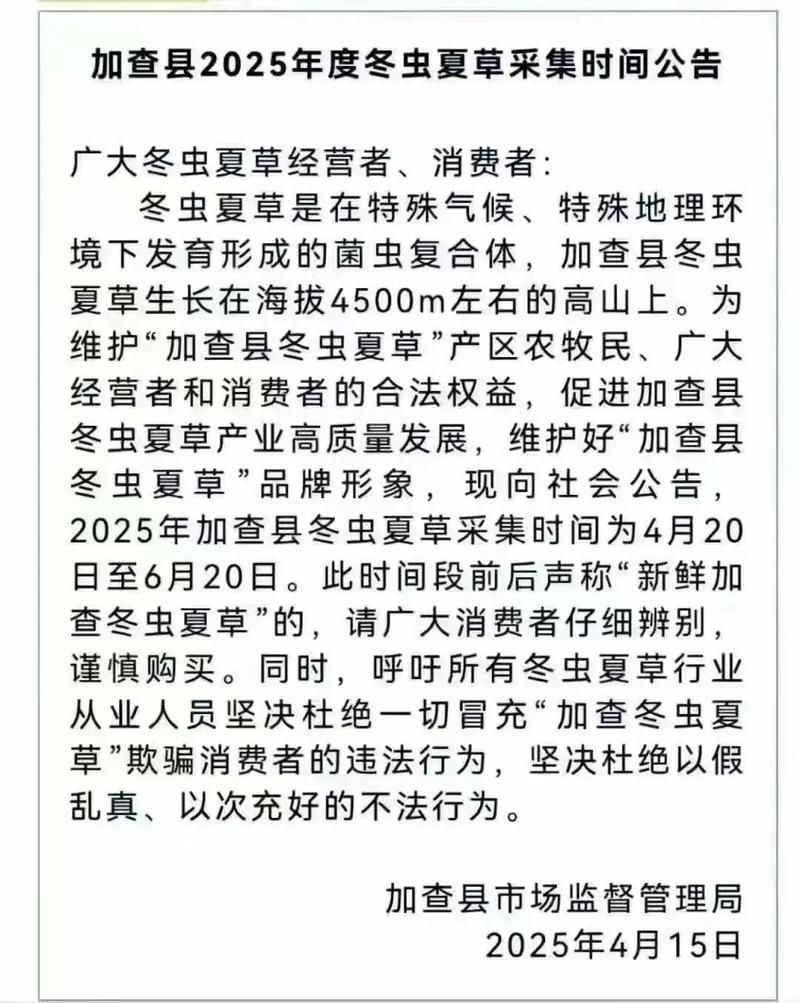 全球新增本土确诊10例均在西藏自治区山南加查县:西藏山南加查虫草品种如何