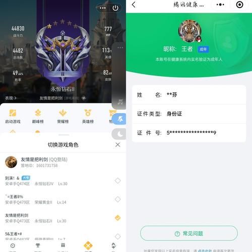 玩家工具神器“刷快手活粉丝网站”(确实有助手)