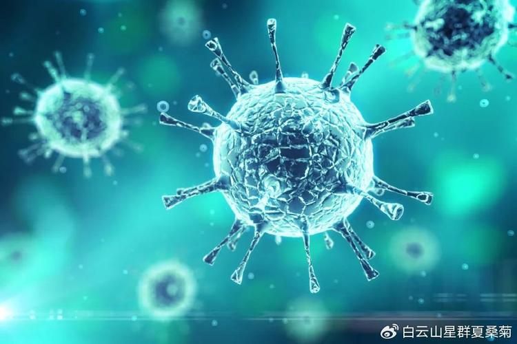 河北省邯郸市永年区今冬新增9例涉3省输入病例(邯郸永年最新防疫要求)