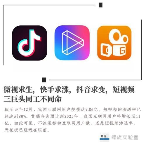 快手抖音粉丝业务网站-玩家必备神器