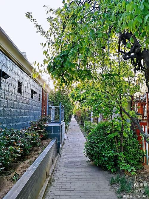 辽宁省辽阳市宏伟区疫情解封最新消息(辽阳市疫情最新消息今天)