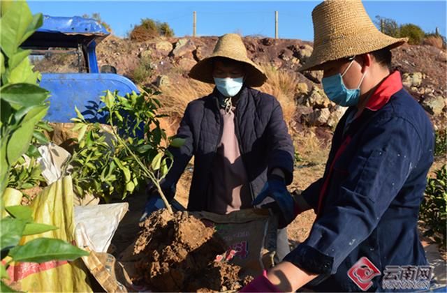【云南省楚雄彝族自治州元谋县新增10例阳性感染者,涉及额济纳旗,元谋疫情最新消息2020】