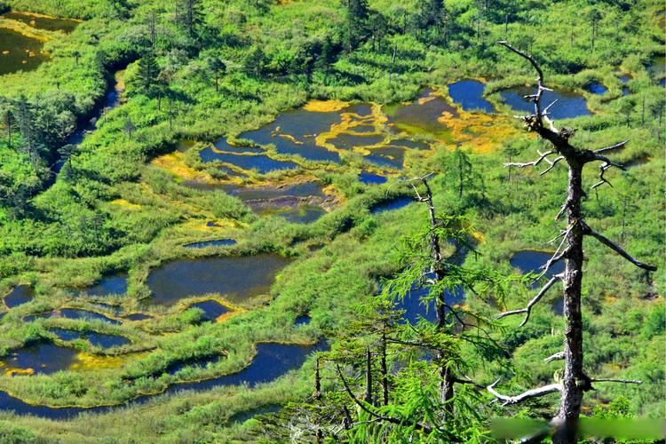 关于云南省怒江傈僳族自治州贡山独龙族怒族自治县新增3例重症及28例无症状的信息