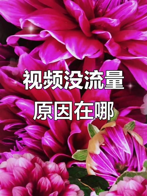 揭秘!抖音业务全网最低价十二出品网背后的秘密