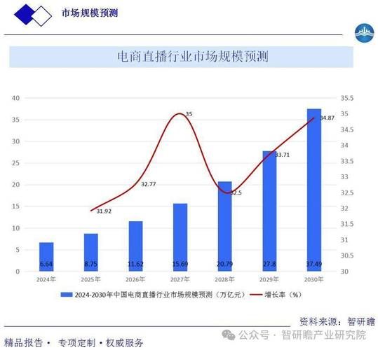 深度解析,抖音业务24小时自动下单平台的运作机制与行业前景