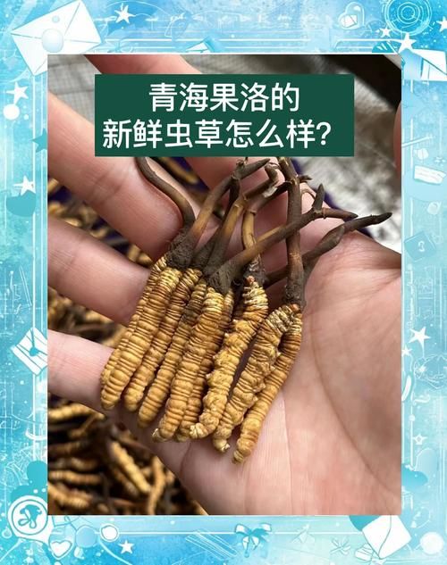 专家:青海果洛藏族自治州每年或现多个感染高峰:青海果洛的人怎么样