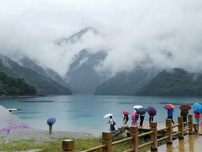 广西壮族自治区柳州市鱼峰区新增23例死亡病例,涉及甘肃陇南文县的简单介绍