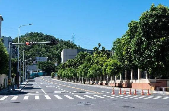 【31省区市疫情存反弹风险,国内个别地市出现疫情反弹】