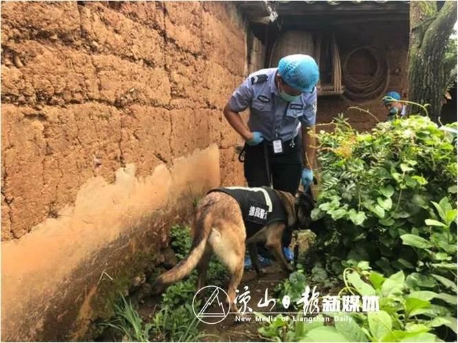  警方通报德昌县疫情最新情况:德昌发生一起命案