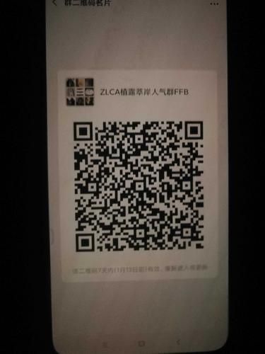 pdd极速助力网站平台/业务了解