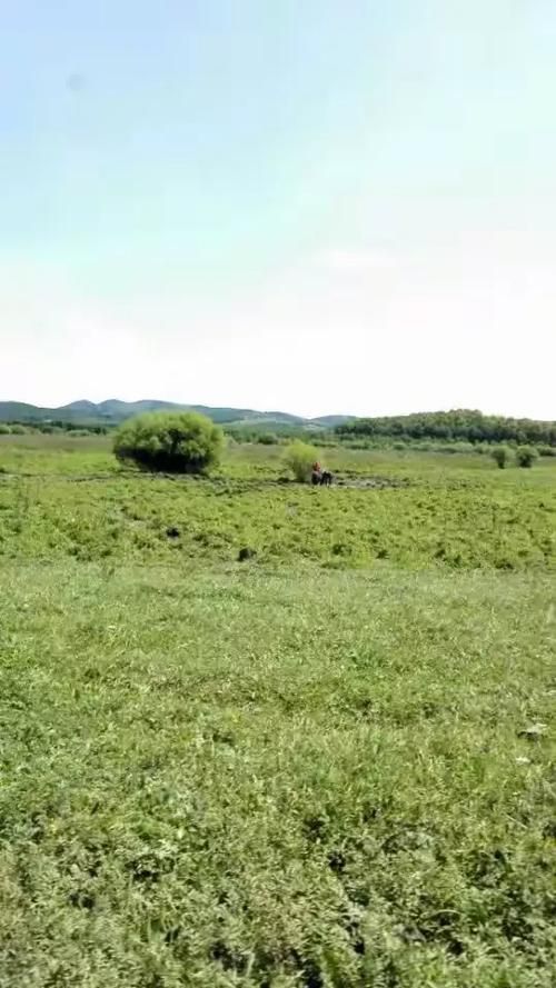 镶黄旗首例阳性感染者来源公布(镶黄旗旅游攻略)