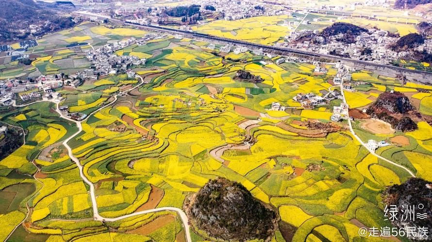 包含贵州省六盘水市六枝特区新增26例本土确诊，涉及广西壮族自治区柳州柳南区的词条