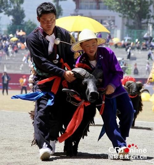 【四川凉山彝族自治州布拖县最新数据播报:寻找同轨迹人员,四川凉山布拖新闻】