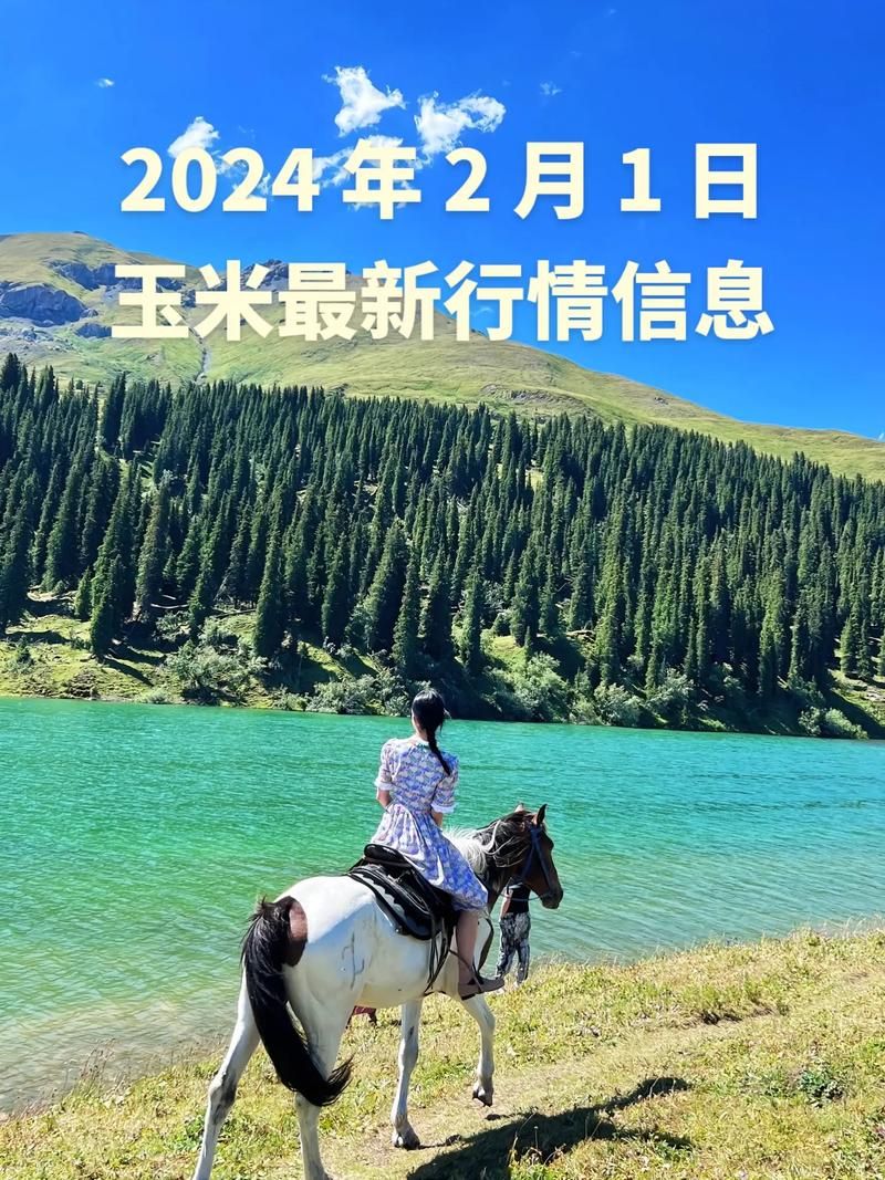 一键自动助力:今日重大消息