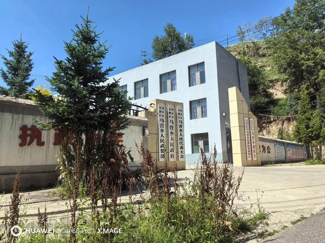 青海省海东市乐都区新增24例重症,涉及山西晋中祁县/青海海东市乐都区疫情
