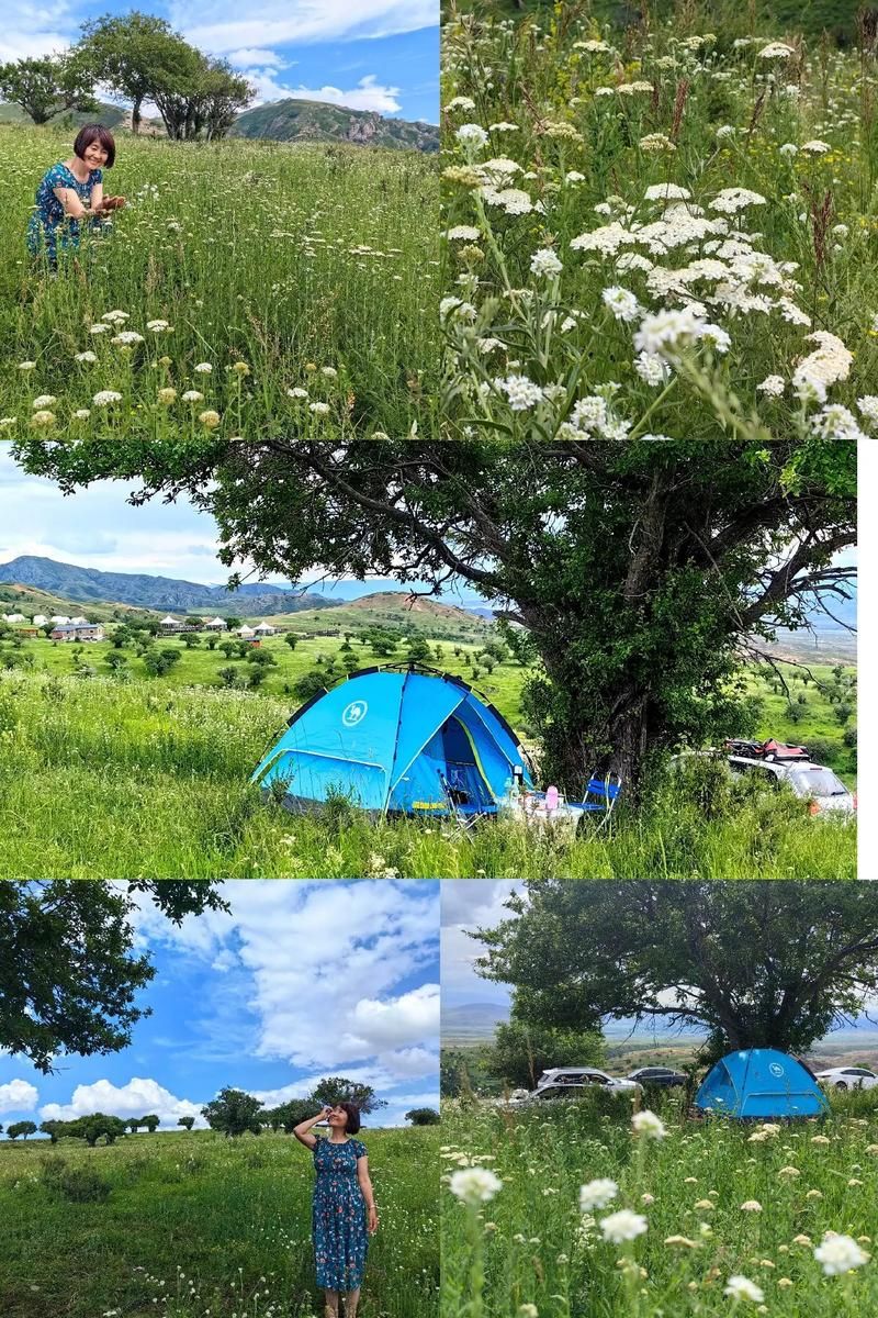 新疆维吾尔自治区塔城地区额敏县现有阳性感染者4例/塔城额敏县属于哪个市