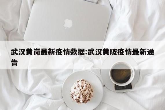 湖北武汉黄陂区新增1例死亡病例及15例无症状/湖北武汉黄陂区疫情