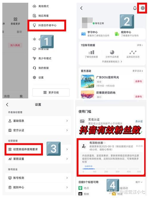 抖音粉丝24：技巧玩法