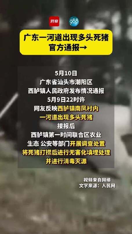  多地新增死亡病例20例广东省湛江市廉江市8例:广东湛江廉江新冠病毒最新消息