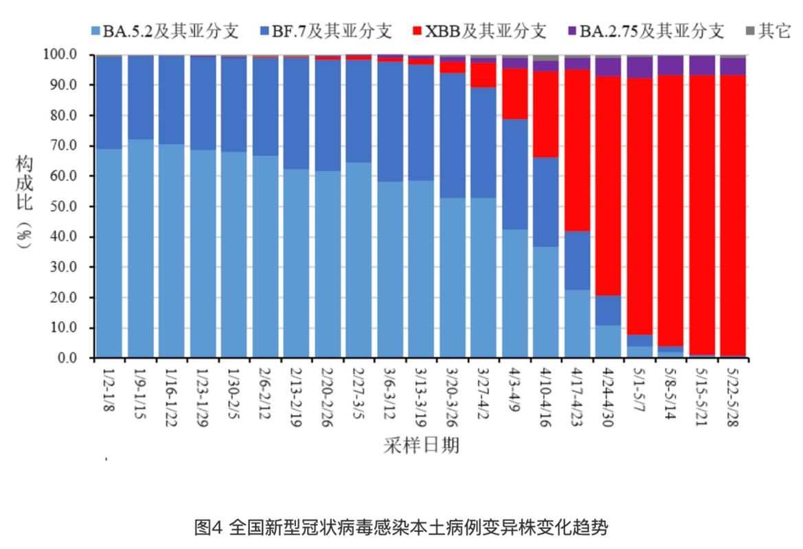 31省份新增死亡病例5例全椒县9例_全国新冠肺炎新增死亡病例