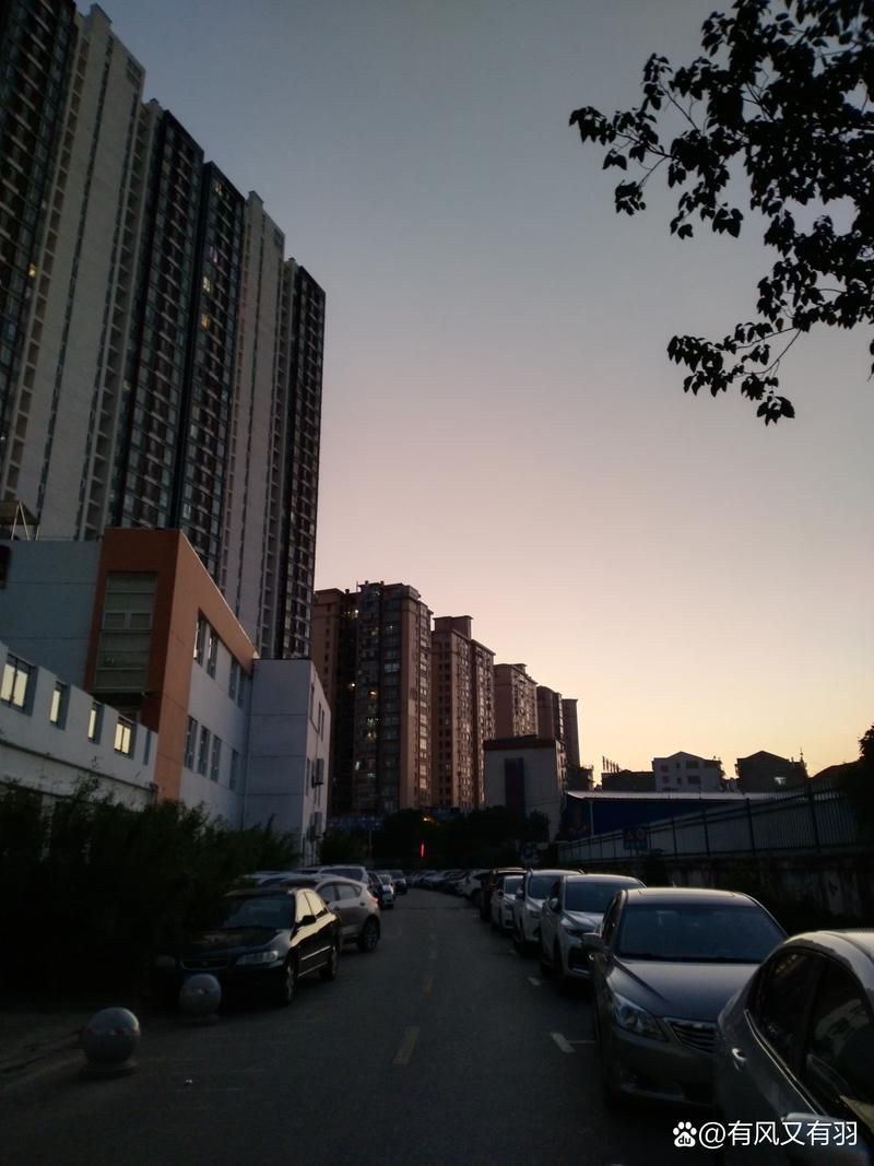 山东威海文登区疫情封城最新消息/山东威海文登区疫情封城最新消息查询