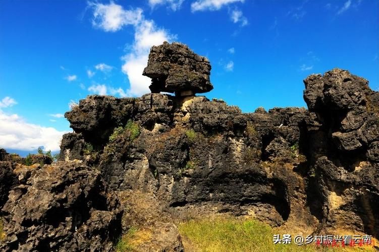 鲁甸县最新最新通报:寻找同轨迹人员/鲁甸最近逮捕人员名单鲁甸头条