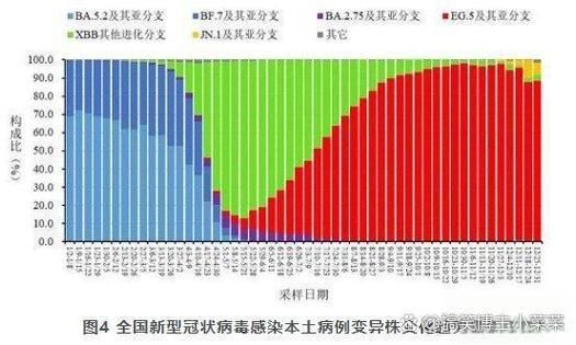 【31省市新增重症18例,全国新冠重症病例到底有多少】