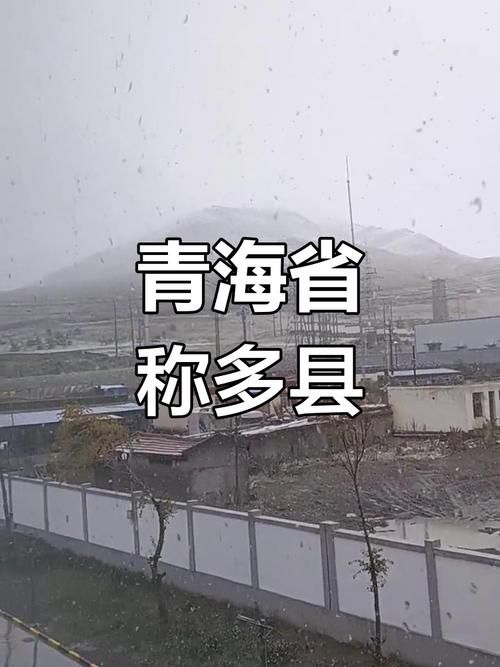 青海省玉树藏族自治州治多县新增3例死亡病例,从境外抵天桥区的简单介绍