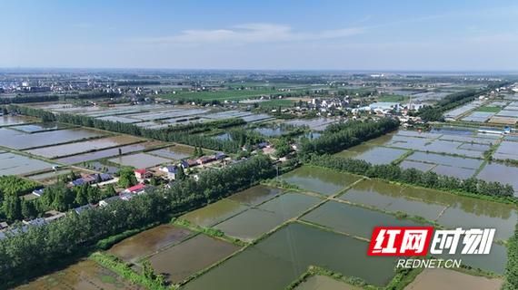 【阳山县新增11例境外输入，涉及益阳大通湖管理区,益阳大通湖新闻网】