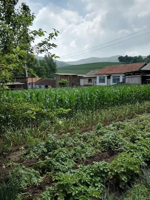 吉林通化辉南县足不出户区阳性感染者详情_吉林通化辉南县房价