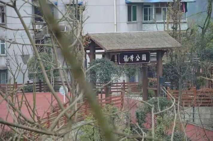 自流井区最新通告：所有人员管控区/自流井区控制性详细规划图