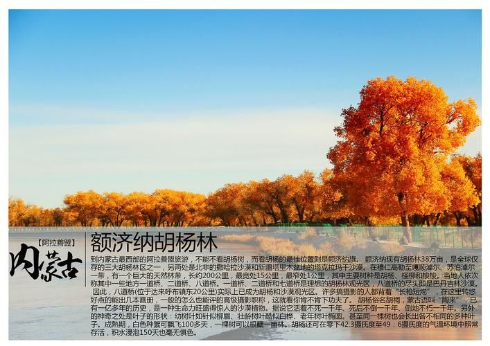 内蒙古自治区阿拉善盟什么时候可以管控区(阿拉善盟有没有疫情)