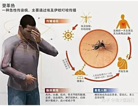【浙江省温州市乐清市新增4例死亡病例及16例无症状_温州乐清市疫情报告】