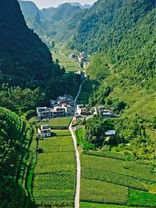 【广西壮族自治区河池市都安瑶族自治县足不出户区境外输入详情_广西河池都安县2021项目】