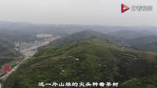 警方通报祁东县疫情最新情况/祁东疫情公布实时动态