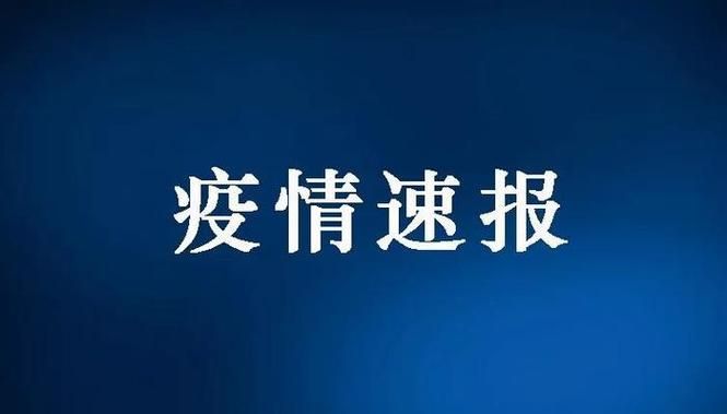 隆尧县重症已爆发20地(突发,隆尧县确诊病例4个)