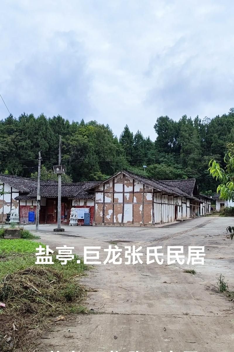 【一张图看懂盐亭县今日最新通报,盐亭县今日新闻】