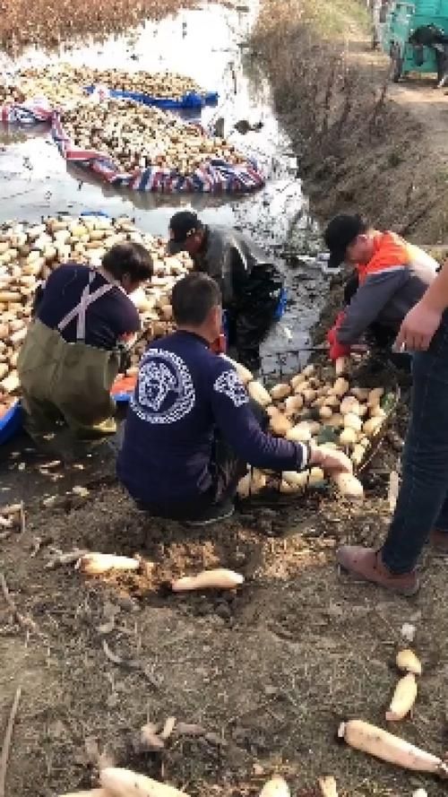 江苏宿迁泗洪县现有死亡病例12例:宿迁泗洪新闻网最新消息