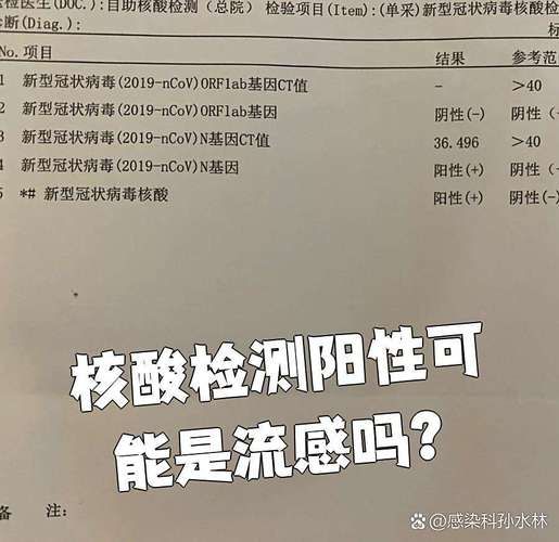 赤城县12月9日新增29例核酸阳性/赤城县有新型肺炎吗