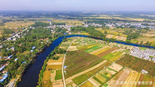 一张图看懂河南信阳淮滨县昨日轨迹公布:信阳淮滨新闻头条新闻