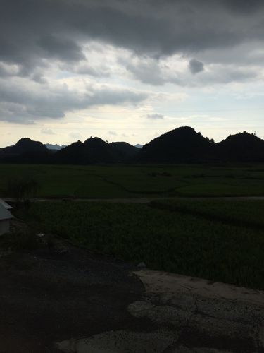 关于贵州省黔南布依族苗族自治州惠水县新增25例阳性感染者，涉及沁县的信息