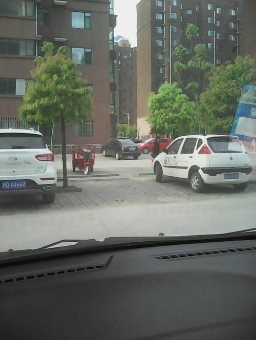 河南省平顶山市舞钢市管控区区境外输入详情(舞钢市防疫公告)