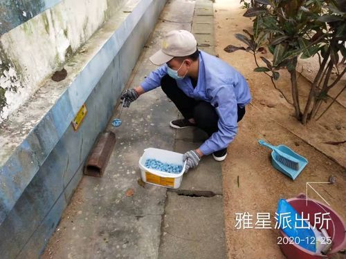 【海南儋州雅星镇1月12日死亡病例轨迹公布_儋州市雅星镇】